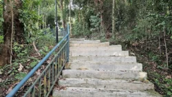 Mount Faber Park Svg+xml,%3Csvg%20xmlns%3D%22http%3A%2F%2Fwww.w3