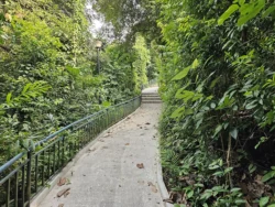 Mount Faber Park Svg+xml,%3Csvg%20xmlns%3D%22http%3A%2F%2Fwww.w3