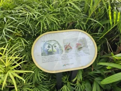 Mount Faber Park Svg+xml,%3Csvg%20xmlns%3D%22http%3A%2F%2Fwww.w3