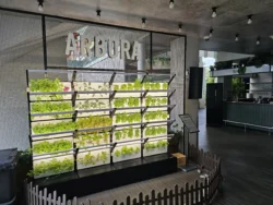 Mount Faber Park Svg+xml,%3Csvg%20xmlns%3D%22http%3A%2F%2Fwww.w3