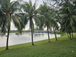 Kallang Riverside Park Svg+xml,%3Csvg%20xmlns%3D%22http%3A%2F%2Fwww.w3
