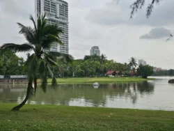 Kallang Riverside Park Svg+xml,%3Csvg%20xmlns%3D%22http%3A%2F%2Fwww.w3
