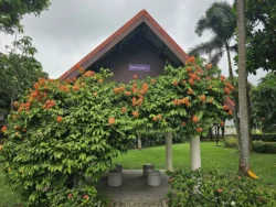 Kallang Riverside Park Svg+xml,%3Csvg%20xmlns%3D%22http%3A%2F%2Fwww.w3