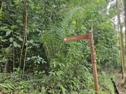 Telok Blangah Hill Park Svg+xml,%3Csvg%20xmlns%3D%22http%3A%2F%2Fwww.w3