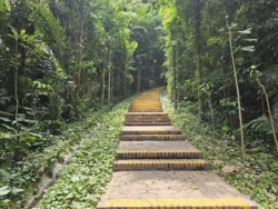 Telok Blangah Hill Park Svg+xml,%3Csvg%20xmlns%3D%22http%3A%2F%2Fwww.w3