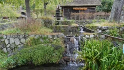 Saiko Iyashi no Sato Nenba Svg+xml,%3Csvg%20xmlns%3D%22http%3A%2F%2Fwww.w3