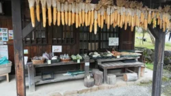 Saiko Iyashi no Sato Nenba Svg+xml,%3Csvg%20xmlns%3D%22http%3A%2F%2Fwww.w3