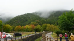 Saiko Iyashi no Sato Nenba Svg+xml,%3Csvg%20xmlns%3D%22http%3A%2F%2Fwww.w3