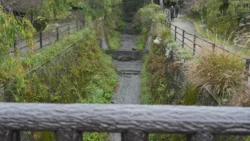 Saiko Iyashi no Sato Nenba Svg+xml,%3Csvg%20xmlns%3D%22http%3A%2F%2Fwww.w3