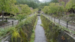 Saiko Iyashi no Sato Nenba Svg+xml,%3Csvg%20xmlns%3D%22http%3A%2F%2Fwww.w3