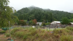 Saiko Iyashi no Sato Nenba Svg+xml,%3Csvg%20xmlns%3D%22http%3A%2F%2Fwww.w3