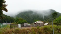 Saiko Iyashi no Sato Nenba Svg+xml,%3Csvg%20xmlns%3D%22http%3A%2F%2Fwww.w3