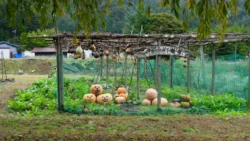 Saiko Iyashi no Sato Nenba Svg+xml,%3Csvg%20xmlns%3D%22http%3A%2F%2Fwww.w3