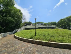 Telok Blangah Hill Park Svg+xml,%3Csvg%20xmlns%3D%22http%3A%2F%2Fwww.w3