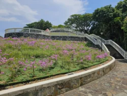 Telok Blangah Hill Park Svg+xml,%3Csvg%20xmlns%3D%22http%3A%2F%2Fwww.w3