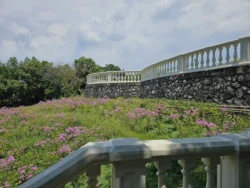 Telok Blangah Hill Park Svg+xml,%3Csvg%20xmlns%3D%22http%3A%2F%2Fwww.w3