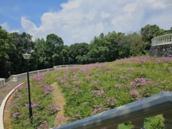 Telok Blangah Hill Park Svg+xml,%3Csvg%20xmlns%3D%22http%3A%2F%2Fwww.w3