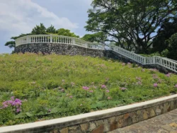 Telok Blangah Hill Park Svg+xml,%3Csvg%20xmlns%3D%22http%3A%2F%2Fwww.w3