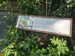 Telok Blangah Hill Park Svg+xml,%3Csvg%20xmlns%3D%22http%3A%2F%2Fwww.w3