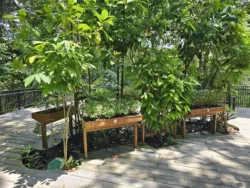 Telok Blangah Hill Park Svg+xml,%3Csvg%20xmlns%3D%22http%3A%2F%2Fwww.w3