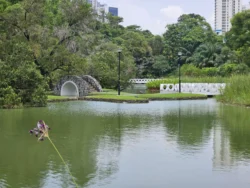 Toa Payoh Town Park (Closed) Svg+xml,%3Csvg%20xmlns%3D%22http%3A%2F%2Fwww.w3