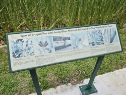 Toa Payoh Town Park (Closed) Svg+xml,%3Csvg%20xmlns%3D%22http%3A%2F%2Fwww.w3