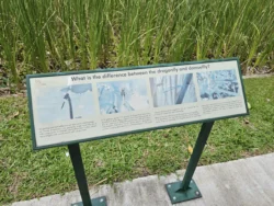 Toa Payoh Town Park (Closed) Svg+xml,%3Csvg%20xmlns%3D%22http%3A%2F%2Fwww.w3