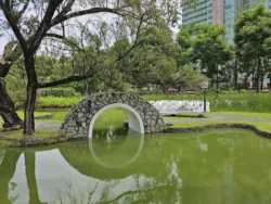 Toa Payoh Town Park (Closed) Svg+xml,%3Csvg%20xmlns%3D%22http%3A%2F%2Fwww.w3