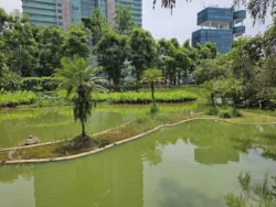 Toa Payoh Town Park (Closed) Svg+xml,%3Csvg%20xmlns%3D%22http%3A%2F%2Fwww.w3