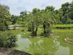 Toa Payoh Town Park (Closed) Svg+xml,%3Csvg%20xmlns%3D%22http%3A%2F%2Fwww.w3