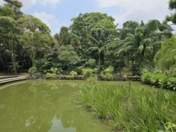 Toa Payoh Town Park (Closed) Svg+xml,%3Csvg%20xmlns%3D%22http%3A%2F%2Fwww.w3