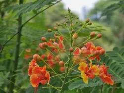 Toa Payoh Town Park (Closed) Svg+xml,%3Csvg%20xmlns%3D%22http%3A%2F%2Fwww.w3