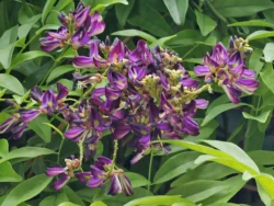 Toa Payoh Town Park (Closed) Svg+xml,%3Csvg%20xmlns%3D%22http%3A%2F%2Fwww.w3