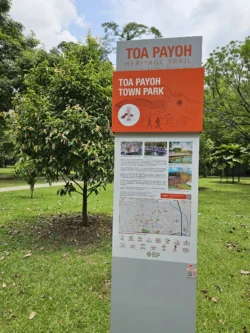 Toa Payoh Town Park (Closed) Svg+xml,%3Csvg%20xmlns%3D%22http%3A%2F%2Fwww.w3