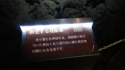 Fugaku Wind Cave Svg+xml,%3Csvg%20xmlns%3D%22http%3A%2F%2Fwww.w3