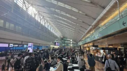 Haneda Airport T2 Svg+xml,%3Csvg%20xmlns%3D%22http%3A%2F%2Fwww.w3