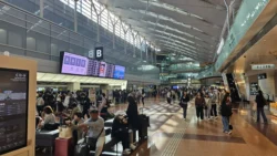 Haneda Airport T2 Svg+xml,%3Csvg%20xmlns%3D%22http%3A%2F%2Fwww.w3