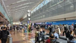 Haneda Airport T2 Svg+xml,%3Csvg%20xmlns%3D%22http%3A%2F%2Fwww.w3