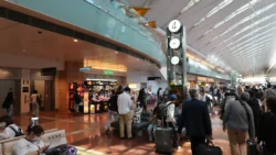 Haneda Airport T2 Svg+xml,%3Csvg%20xmlns%3D%22http%3A%2F%2Fwww.w3