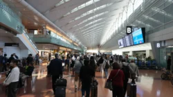 Haneda Airport T2 Svg+xml,%3Csvg%20xmlns%3D%22http%3A%2F%2Fwww.w3