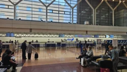 Haneda Airport T2 Svg+xml,%3Csvg%20xmlns%3D%22http%3A%2F%2Fwww.w3