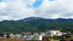 Lake Kawaguchi Maple Corridor Svg+xml,%3Csvg%20xmlns%3D%22http%3A%2F%2Fwww.w3