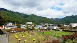 Lake Kawaguchi Maple Corridor Svg+xml,%3Csvg%20xmlns%3D%22http%3A%2F%2Fwww.w3