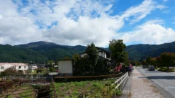 Lake Kawaguchi Maple Corridor Svg+xml,%3Csvg%20xmlns%3D%22http%3A%2F%2Fwww.w3