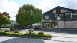 Lake Kawaguchi Maple Corridor Svg+xml,%3Csvg%20xmlns%3D%22http%3A%2F%2Fwww.w3