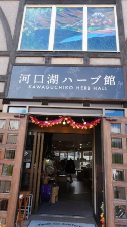 Lake Kawaguchiko Herb Hall Svg+xml,%3Csvg%20xmlns%3D%22http%3A%2F%2Fwww.w3