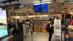 Magnet by Shibuya 109 Svg+xml,%3Csvg%20xmlns%3D%22http%3A%2F%2Fwww.w3