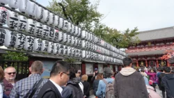 Sensoji Temple Svg+xml,%3Csvg%20xmlns%3D%22http%3A%2F%2Fwww.w3