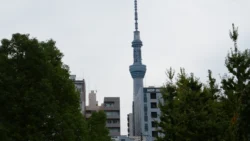 Sensoji Temple Svg+xml,%3Csvg%20xmlns%3D%22http%3A%2F%2Fwww.w3