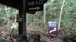 Narusawa Ice Cave Svg+xml,%3Csvg%20xmlns%3D%22http%3A%2F%2Fwww.w3